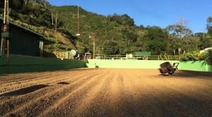 Costa Rica Santa Elena Estate