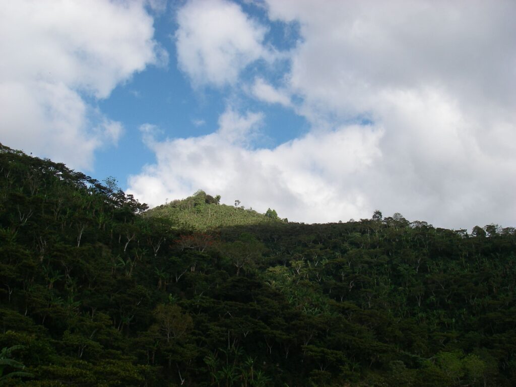 Finca La Pradera Marquee