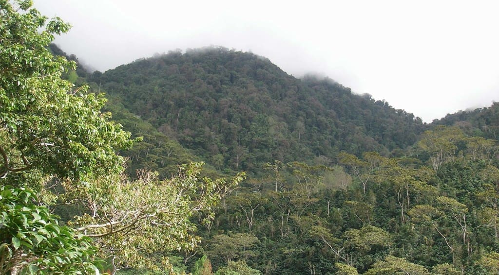 Finca Un Regalo de Dios