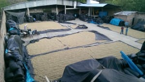 La Prosperidad Marquee