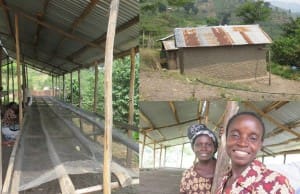 Karughabira WS, BJCU