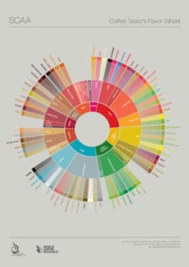 New SCAA Flavor Wheel