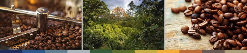 Banner Image for Introduction to Coffee Futures & Price Risk Management Seminar