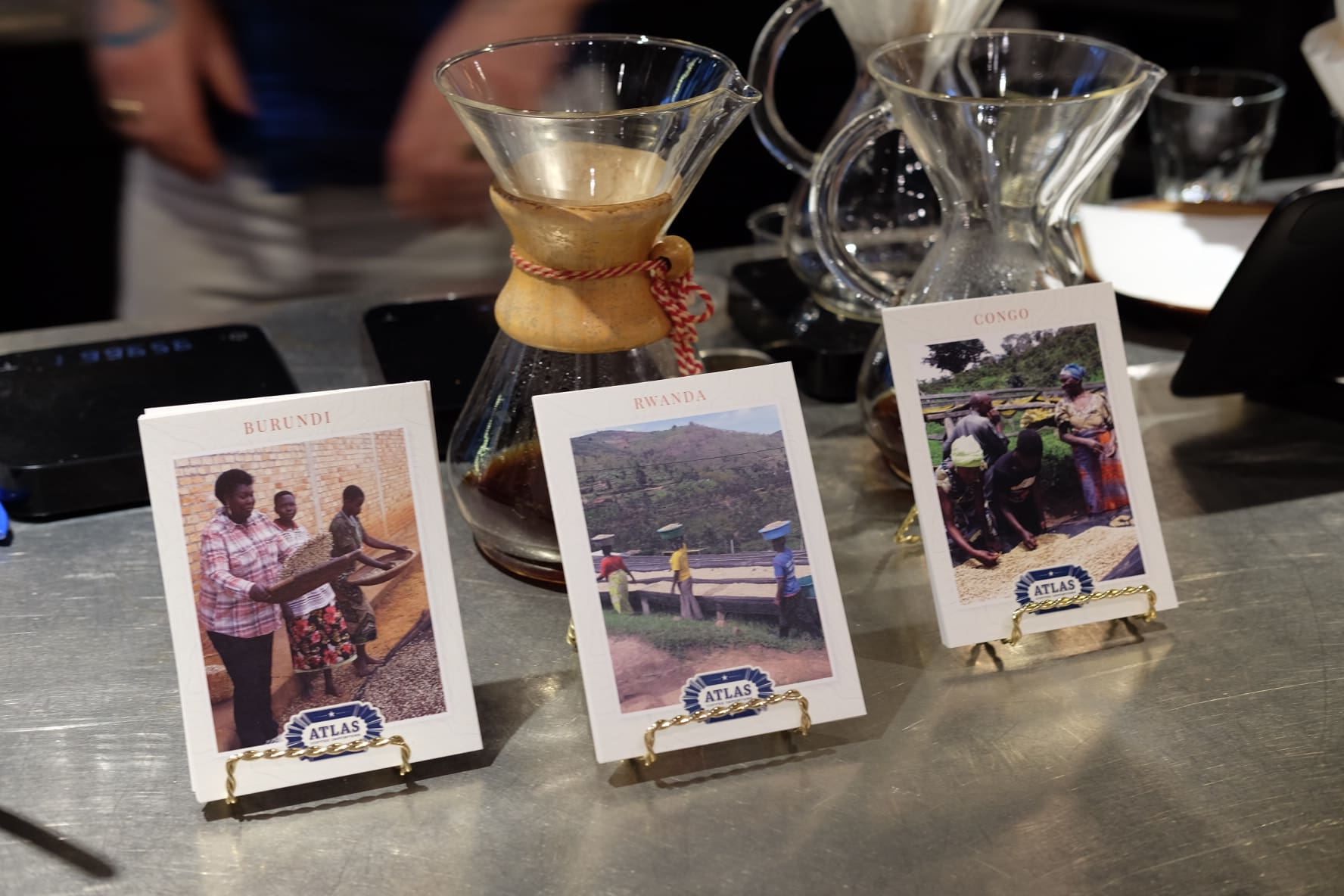 IMG_6904 Atlas Coffee Importers