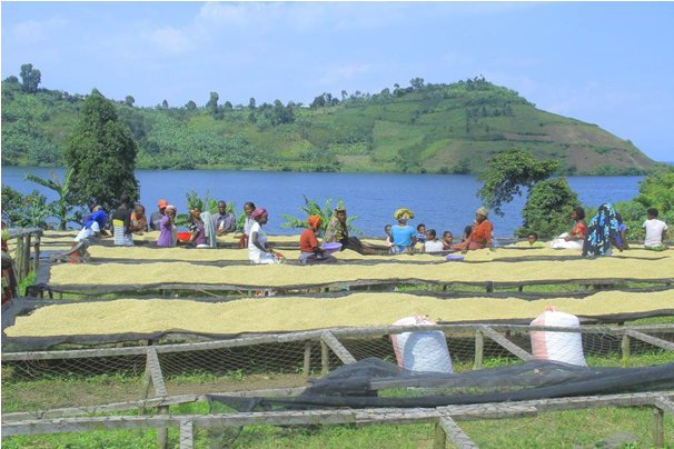 people washing beans with a lake and mountain in the background