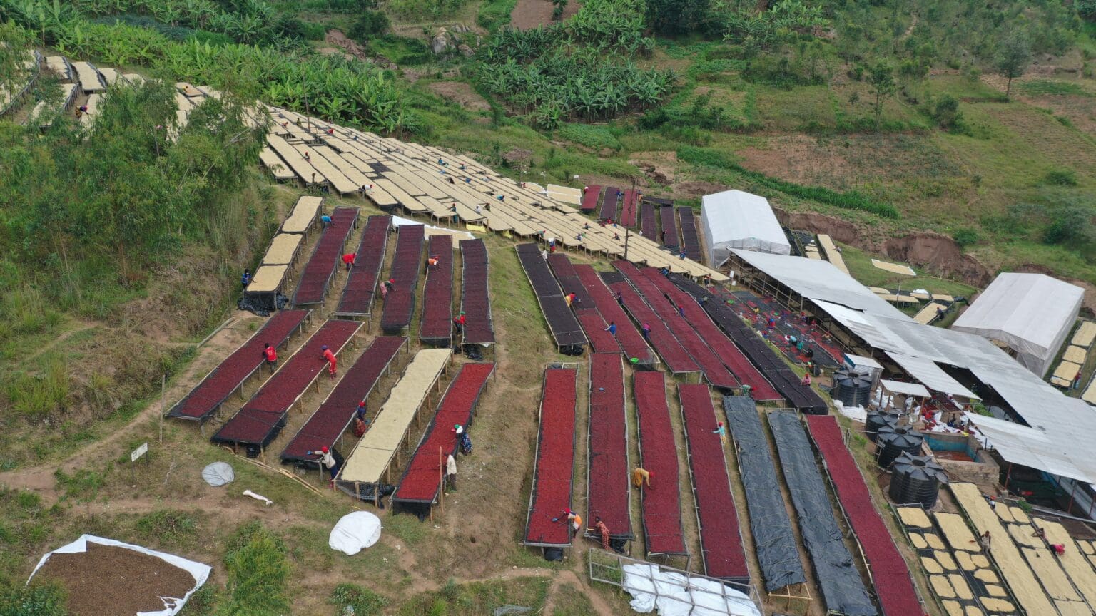 2022 SCA Expo Office Hours with Atlas/IAC Producer Partners Atlas