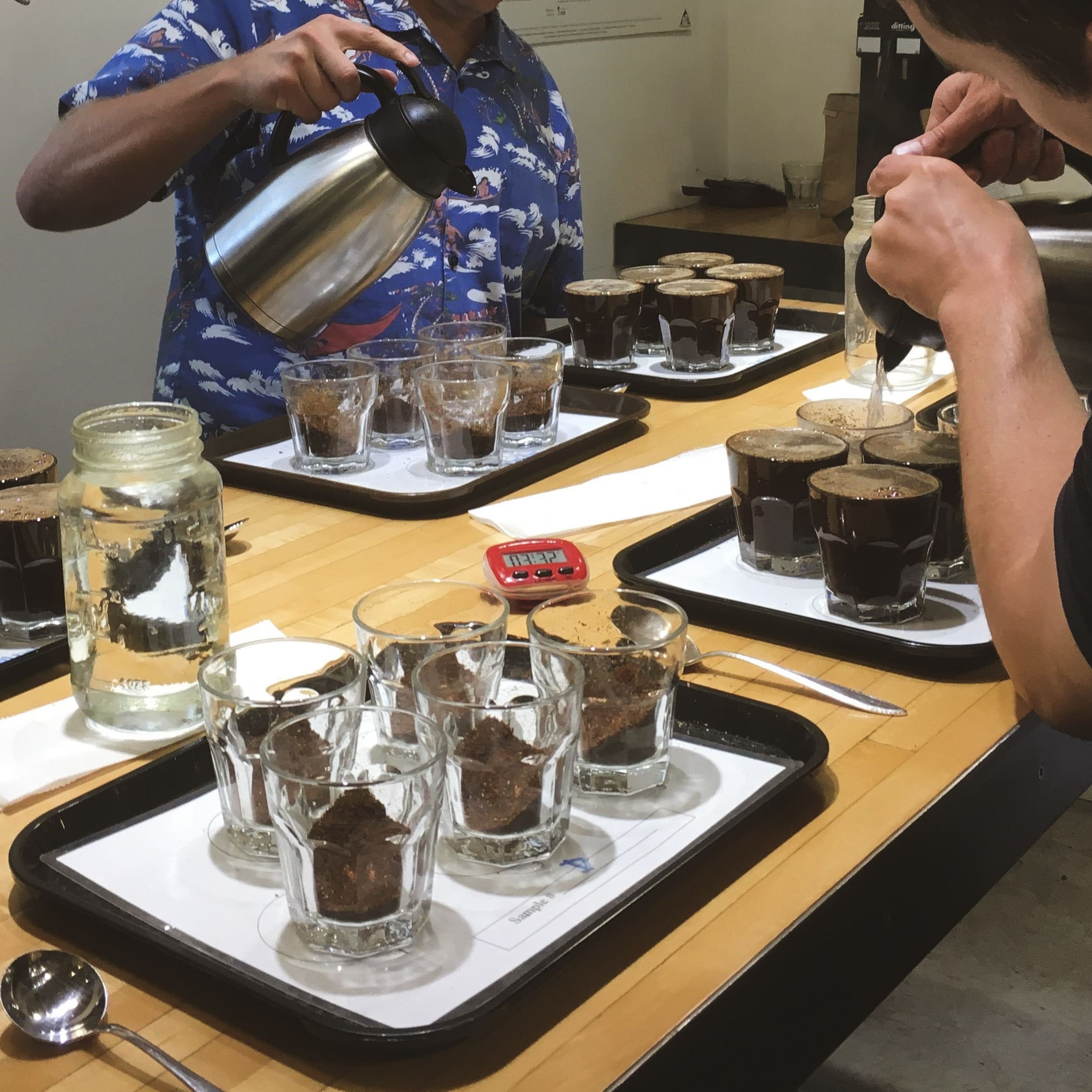 Atlas Coffee Importers Specialty Coffee Importers in North America
